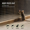 Animal Protection
