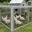 Chicken Coop