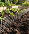 Vegetable Garden Barrier