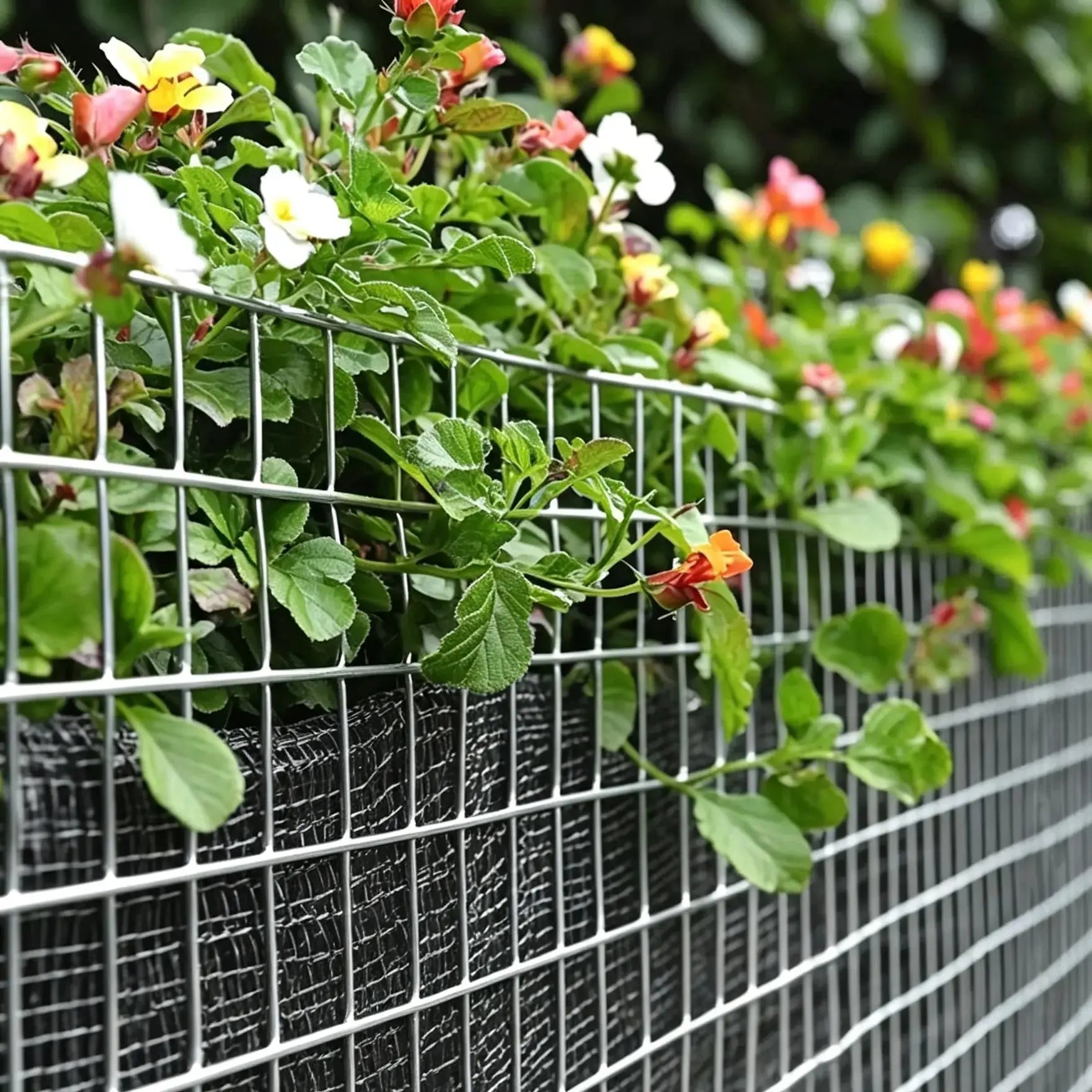 1/4" Welded Wire Mesh Roll – Garden Protection & Rodent Barrier